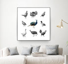 Bird Farm by Martina Dirce Carcano on GIANT ART - white digital painting