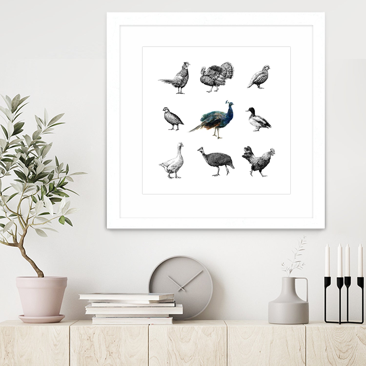 Bird Farm by Martina Dirce Carcano on GIANT ART - white digital painting