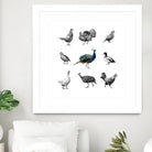 Bird Farm by Martina Dirce Carcano on GIANT ART - white digital painting