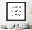 Bird Farm by Martina Dirce Carcano on GIANT ART - white digital painting