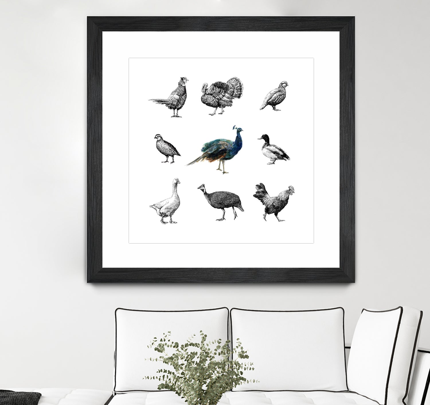 Bird Farm by Martina Dirce Carcano on GIANT ART - white digital painting