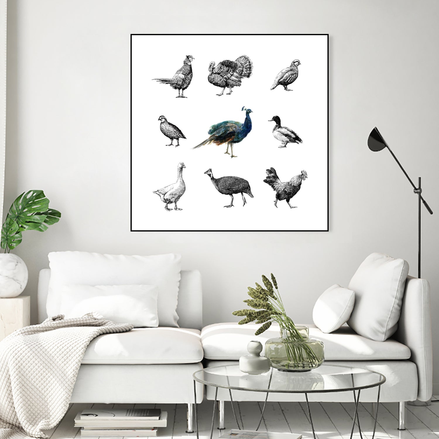 Bird Farm by Martina Dirce Carcano on GIANT ART - white digital painting