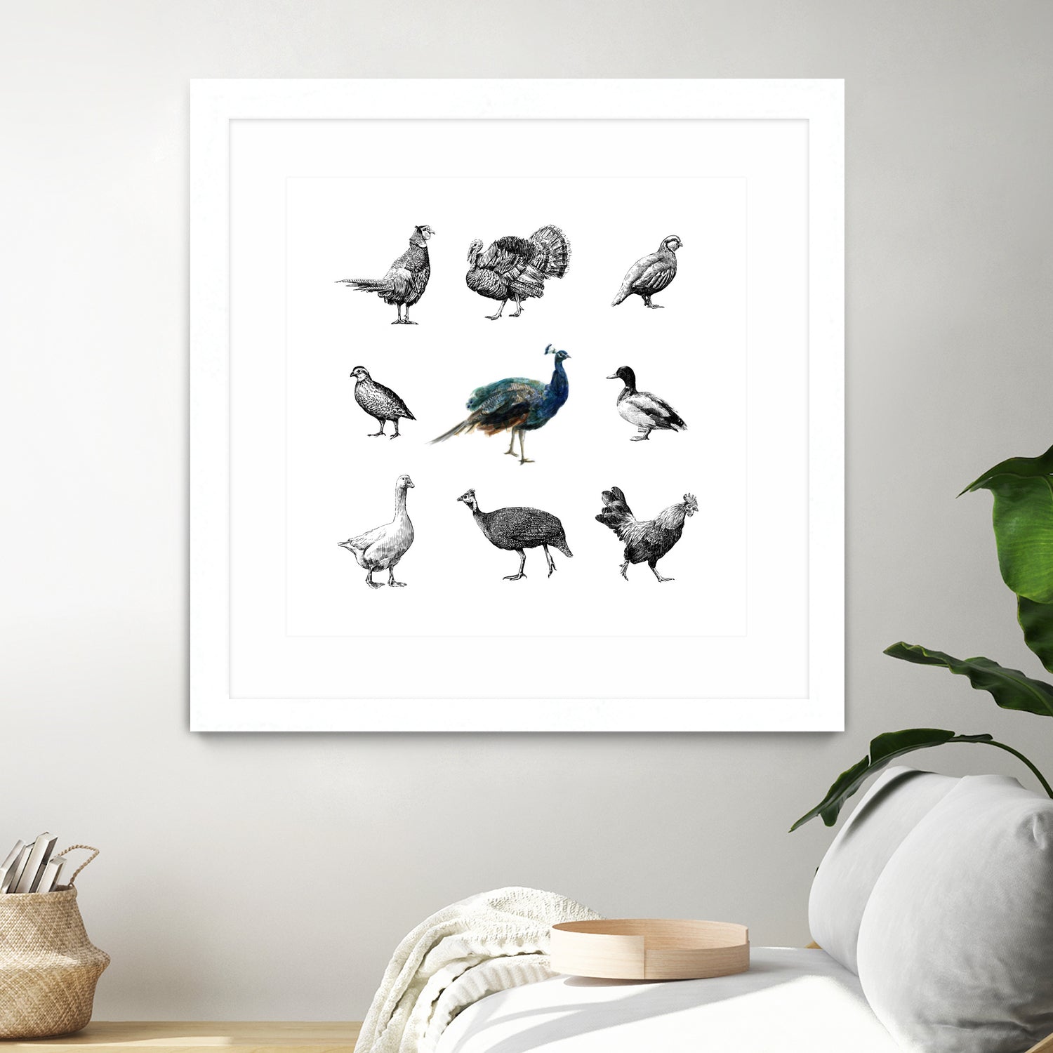 Bird Farm by Martina Dirce Carcano on GIANT ART - white digital painting