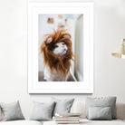 Cat lion by Jovana Rikalo on GIANT ART - orange photo manipulation