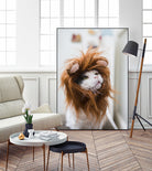 Cat lion by Jovana Rikalo on GIANT ART - orange photo manipulation