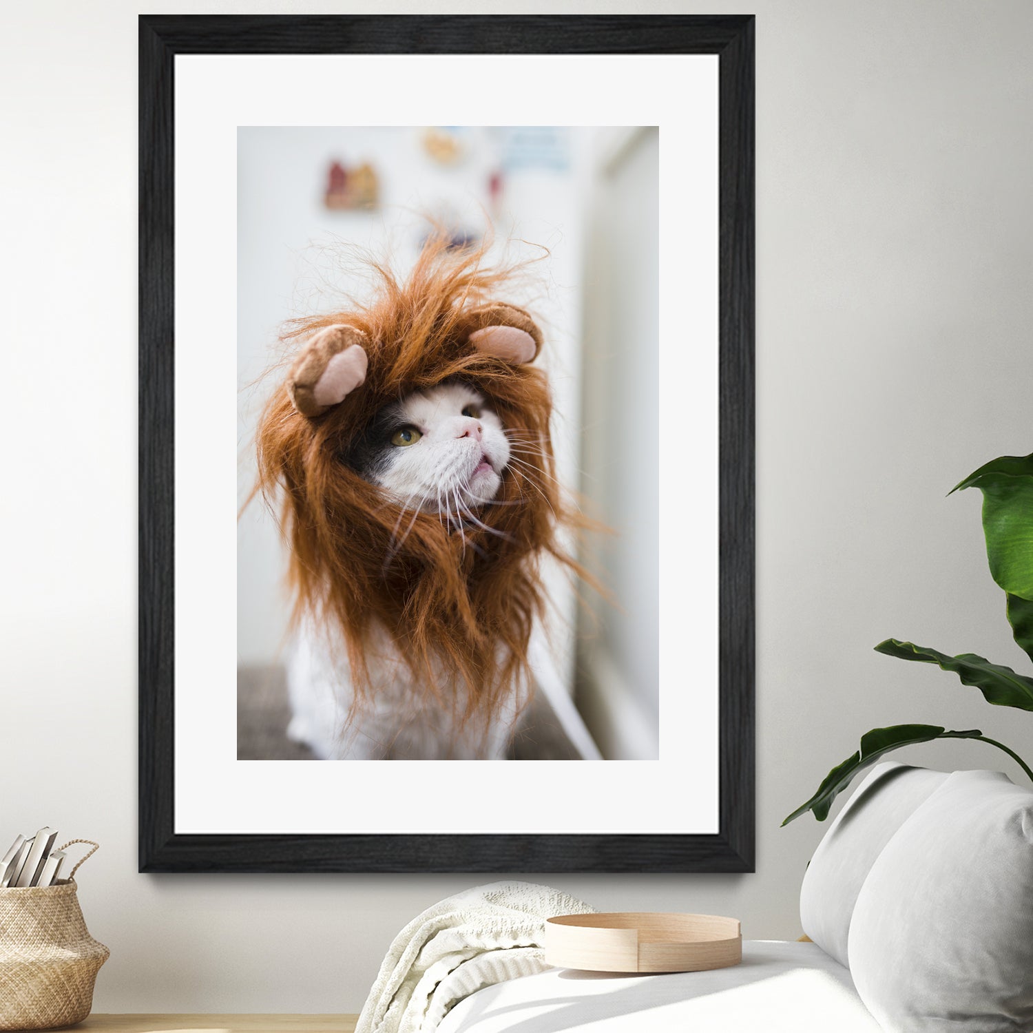 Cat lion by Jovana Rikalo on GIANT ART - orange photo manipulation