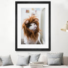 Cat lion by Jovana Rikalo on GIANT ART - orange photo manipulation