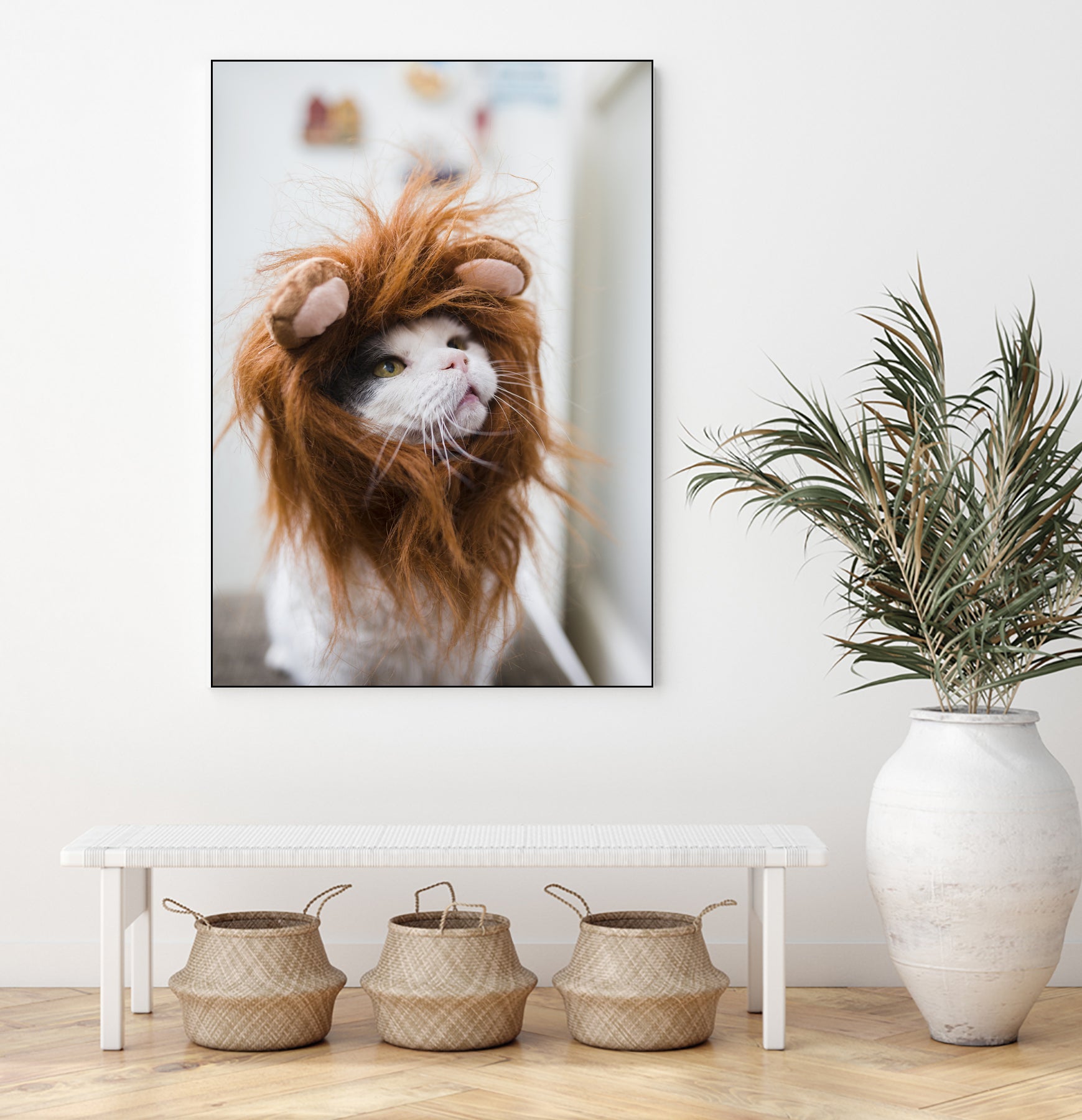 Cat lion by Jovana Rikalo on GIANT ART - orange photo manipulation