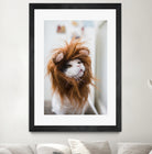 Cat lion by Jovana Rikalo on GIANT ART - orange photo manipulation