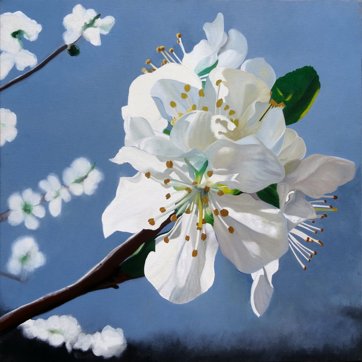 Spring Blossoms by Matthew Holden Bates on GIANT ART - white mixed media