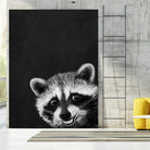 raccoon---I-m-not-sleepy- by Laura Graves on GIANT ART - black photo illustration