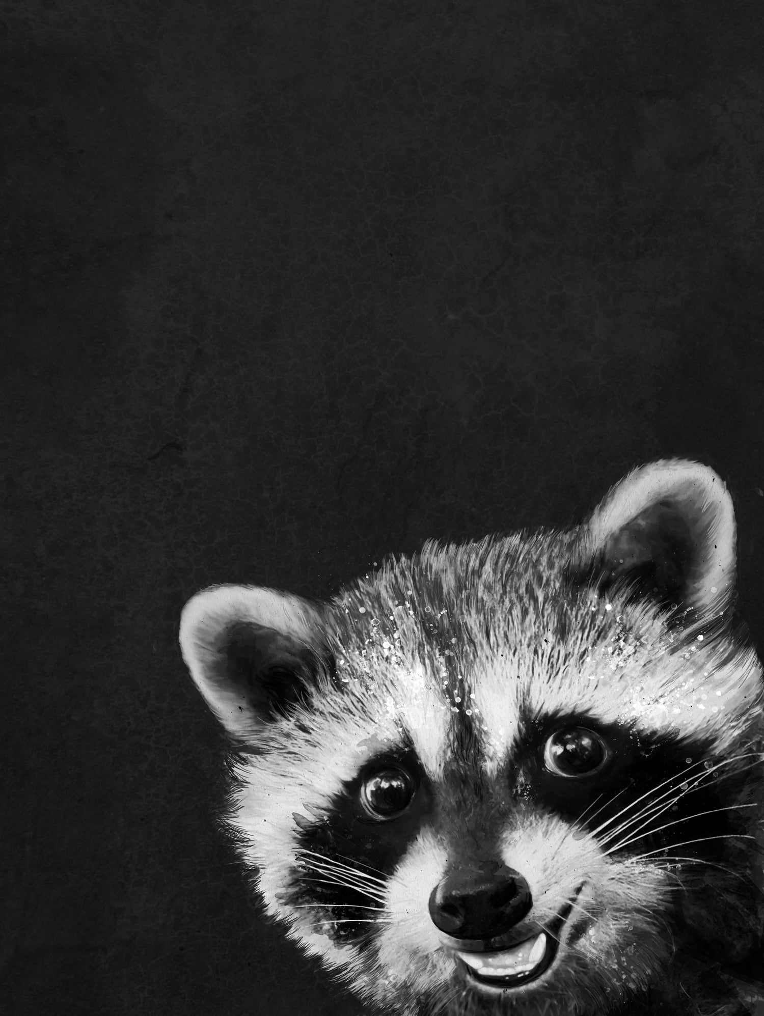 raccoon---I-m-not-sleepy- by Laura Graves on GIANT ART - black photo illustration