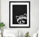 raccoon---I-m-not-sleepy- by Laura Graves on GIANT ART - black photo illustration