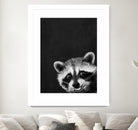 raccoon---I-m-not-sleepy- by Laura Graves on GIANT ART - black photo illustration