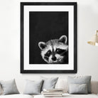 raccoon---I-m-not-sleepy- by Laura Graves on GIANT ART - black photo illustration