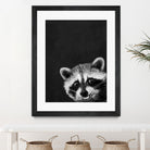 raccoon---I-m-not-sleepy- by Laura Graves on GIANT ART - black photo illustration