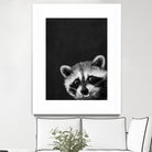 raccoon---I-m-not-sleepy- by Laura Graves on GIANT ART - black photo illustration