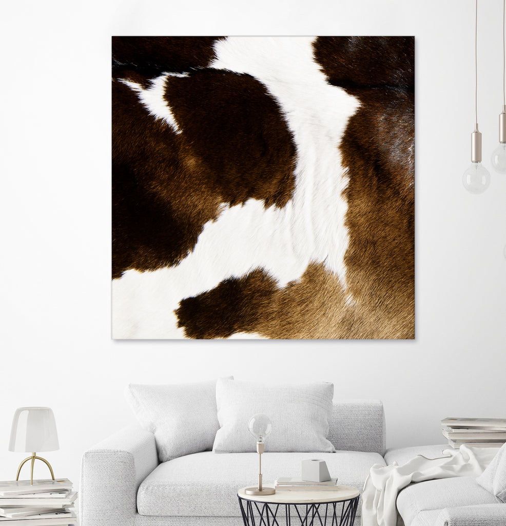 Beautiful Highland Cow Cowhide by Neli Dimitrova on GIANT ART - brown photo manipulation