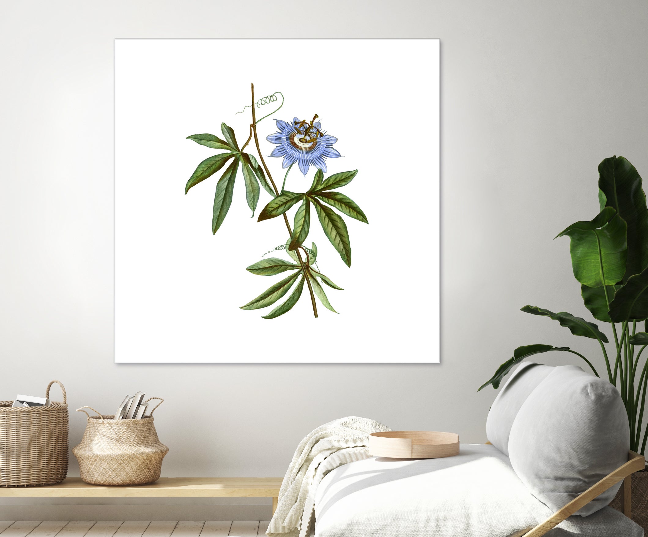 Vintage Blue Passionflower Botanical Illustration by Raul Andre Petrasanta on GIANT ART - blue mixed media