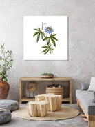 Vintage Blue Passionflower Botanical Illustration by Raul Andre Petrasanta on GIANT ART - blue mixed media