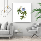 Vintage Blue Passionflower Botanical Illustration by Raul Andre Petrasanta on GIANT ART - blue mixed media