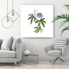 Vintage Blue Passionflower Botanical Illustration by Raul Andre Petrasanta on GIANT ART - blue mixed media