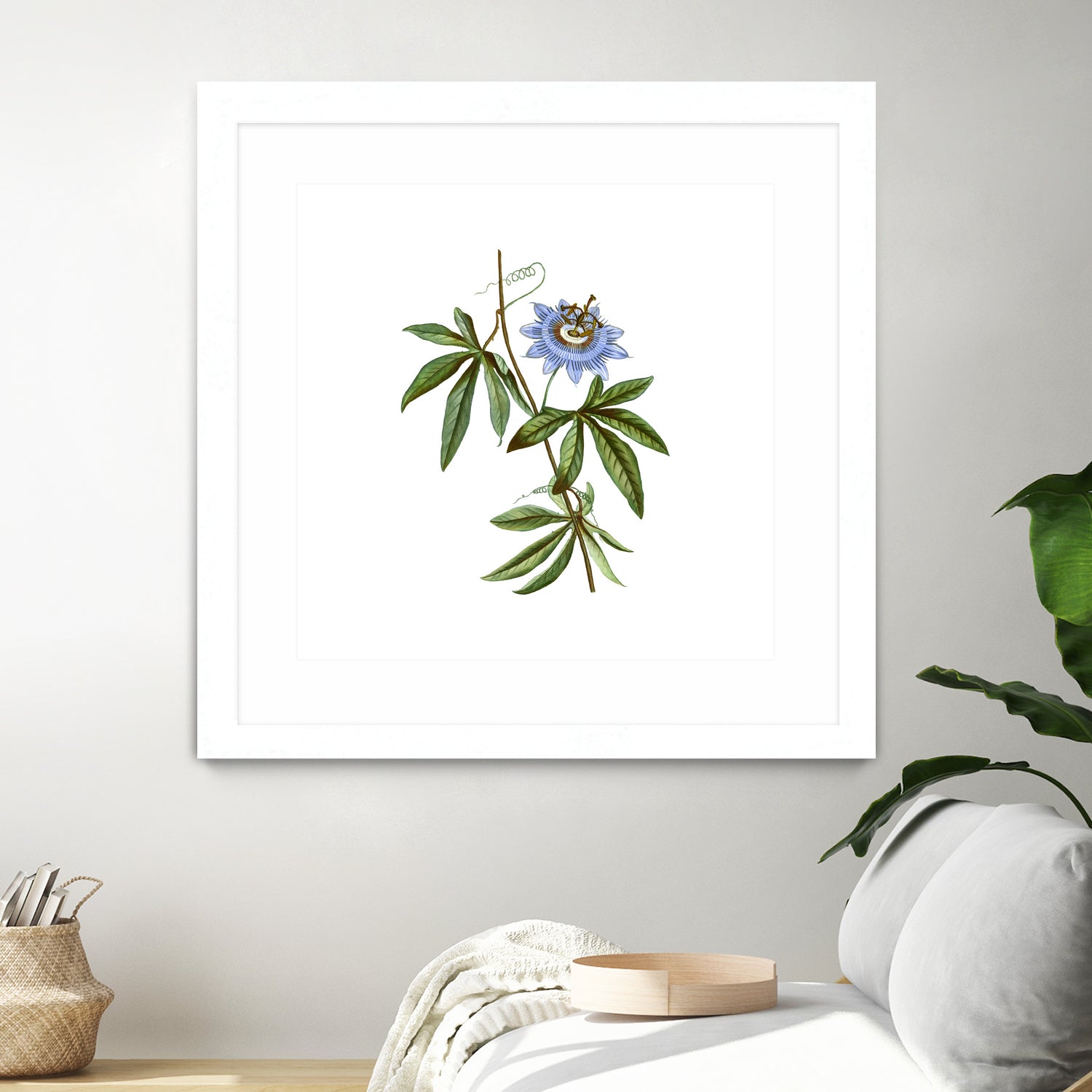 Vintage Blue Passionflower Botanical Illustration by Raul Andre Petrasanta on GIANT ART - blue mixed media