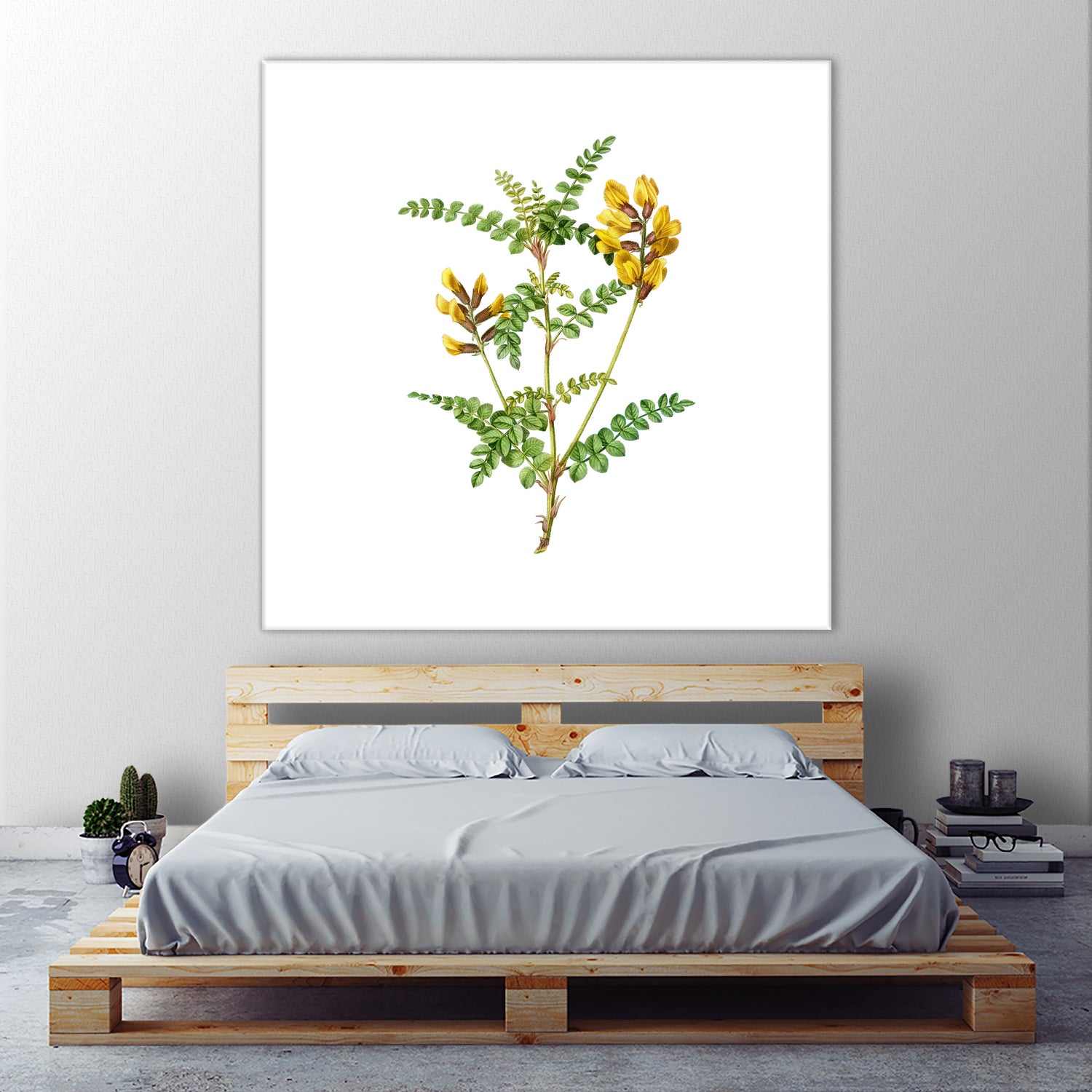 Vintage Calophaca Wolgarica Botanical Illustration by Raul Andre Petrasanta on GIANT ART - yellow mixed media