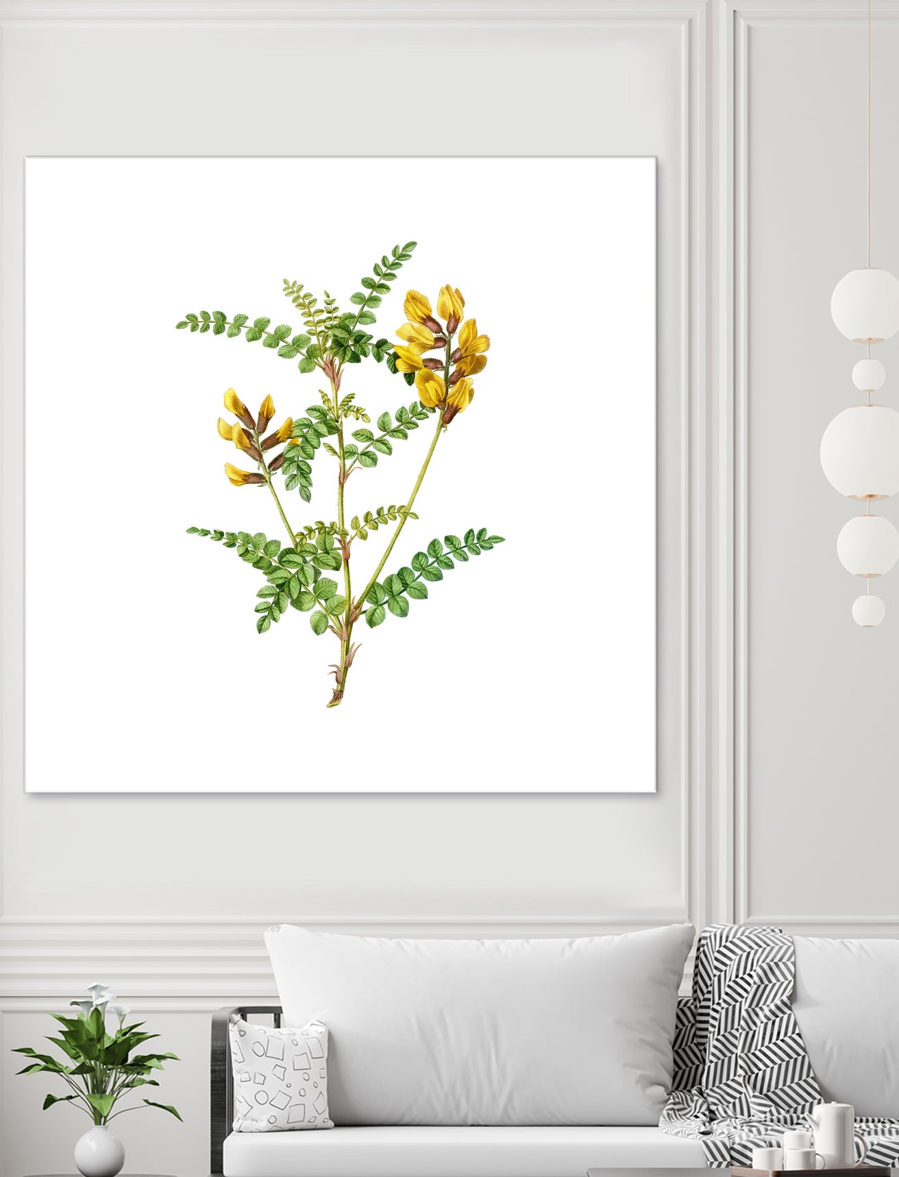 Vintage Calophaca Wolgarica Botanical Illustration by Raul Andre Petrasanta on GIANT ART - yellow mixed media