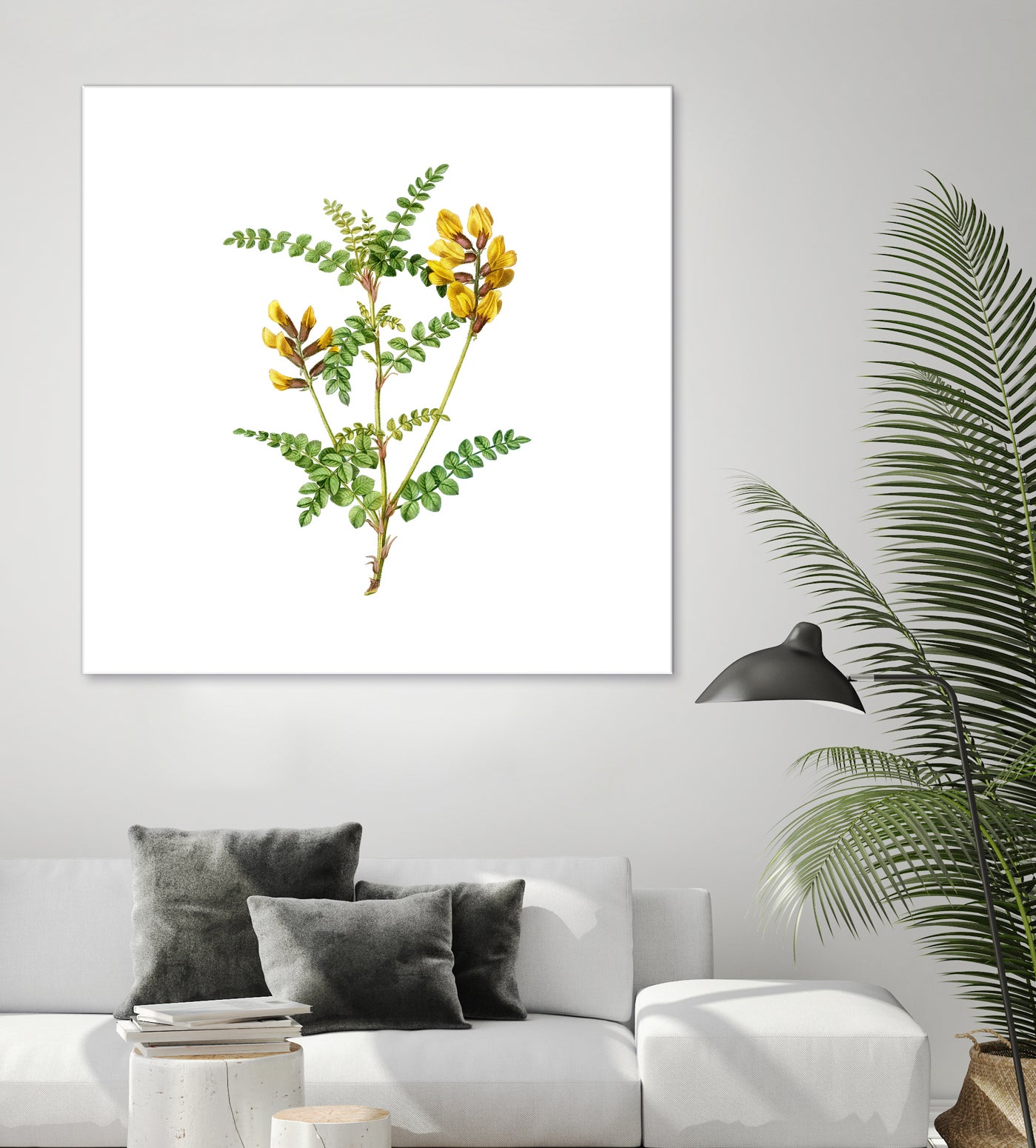 Vintage Calophaca Wolgarica Botanical Illustration by Raul Andre Petrasanta on GIANT ART - yellow mixed media