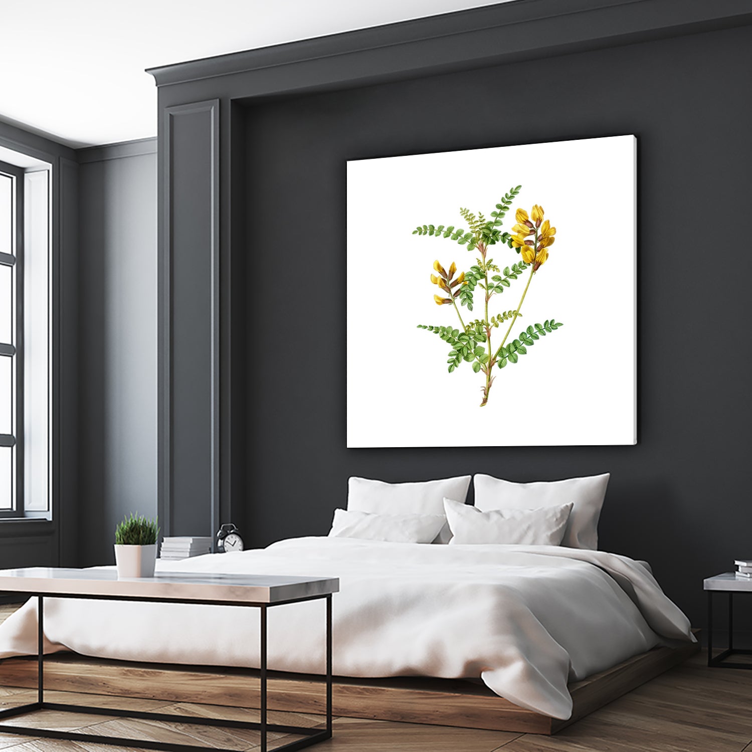 Vintage Calophaca Wolgarica Botanical Illustration by Raul Andre Petrasanta on GIANT ART - yellow mixed media