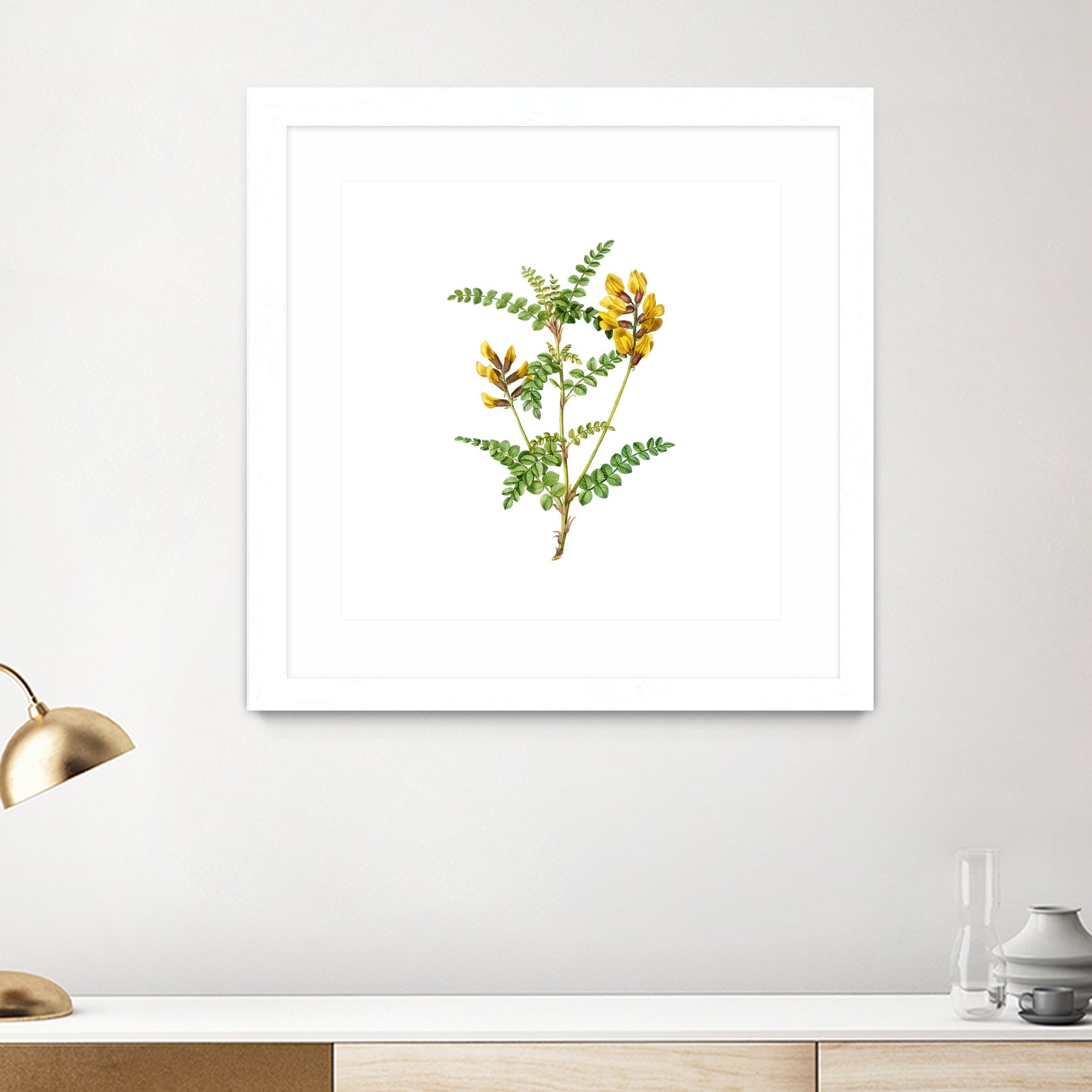 Vintage Calophaca Wolgarica Botanical Illustration by Raul Andre Petrasanta on GIANT ART - yellow mixed media