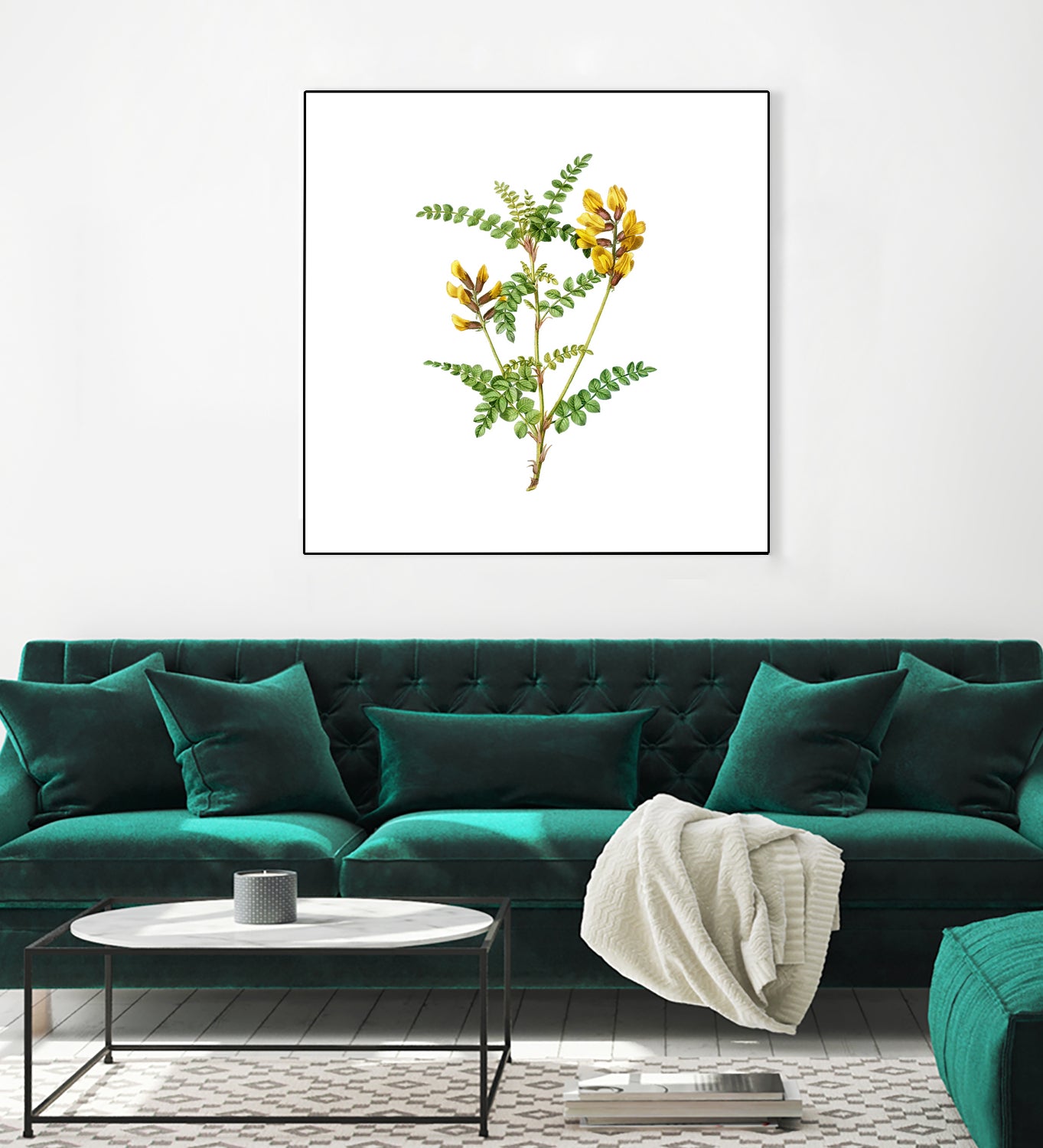 Vintage Calophaca Wolgarica Botanical Illustration by Raul Andre Petrasanta on GIANT ART - yellow mixed media