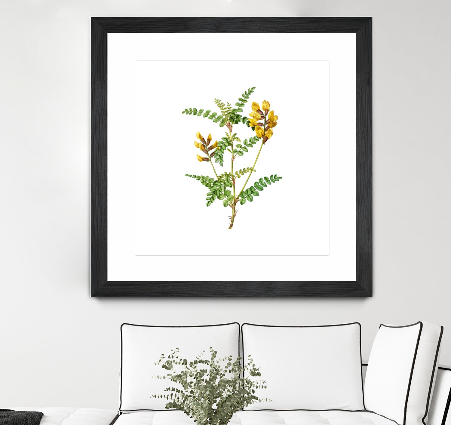 Vintage Calophaca Wolgarica Botanical Illustration by Raul Andre Petrasanta on GIANT ART - yellow mixed media