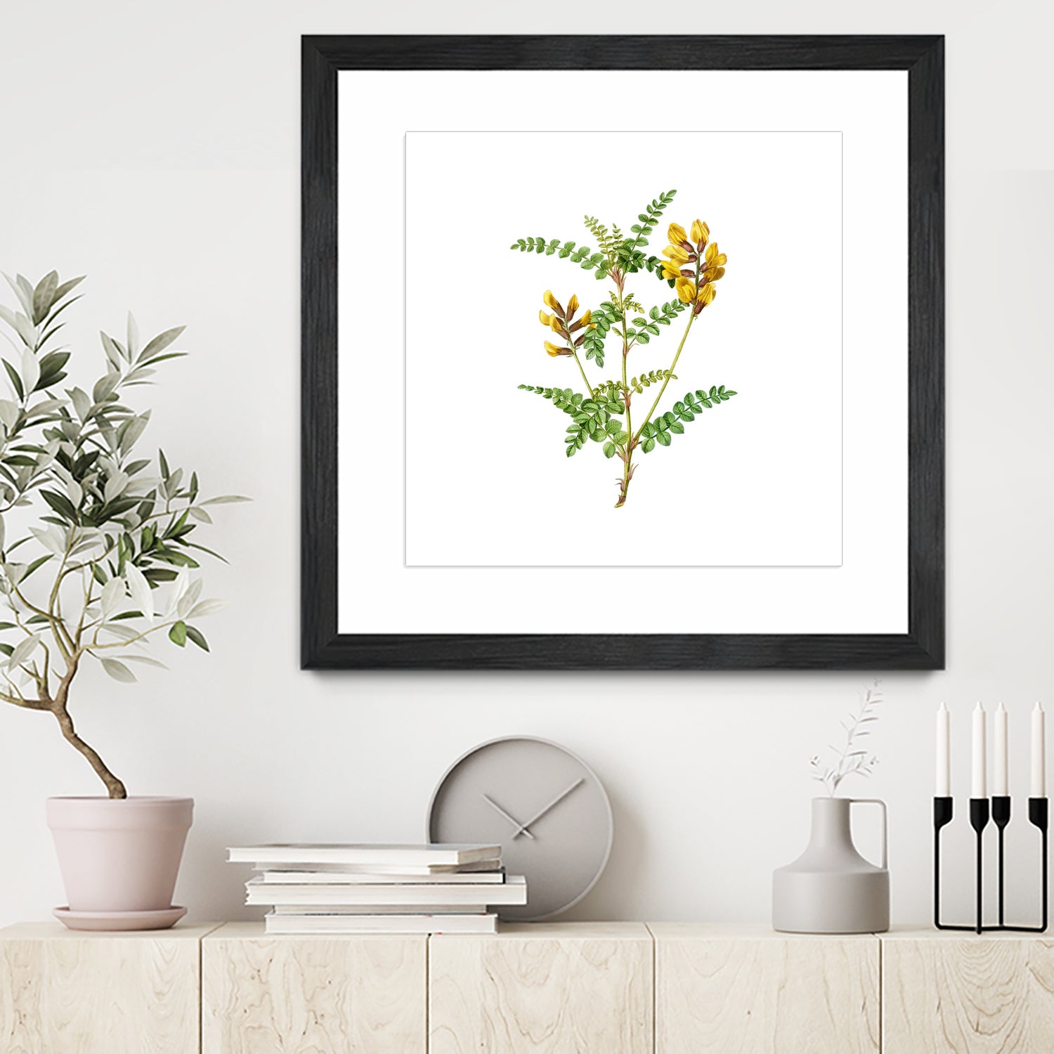 Vintage Calophaca Wolgarica Botanical Illustration by Raul Andre Petrasanta on GIANT ART - yellow mixed media