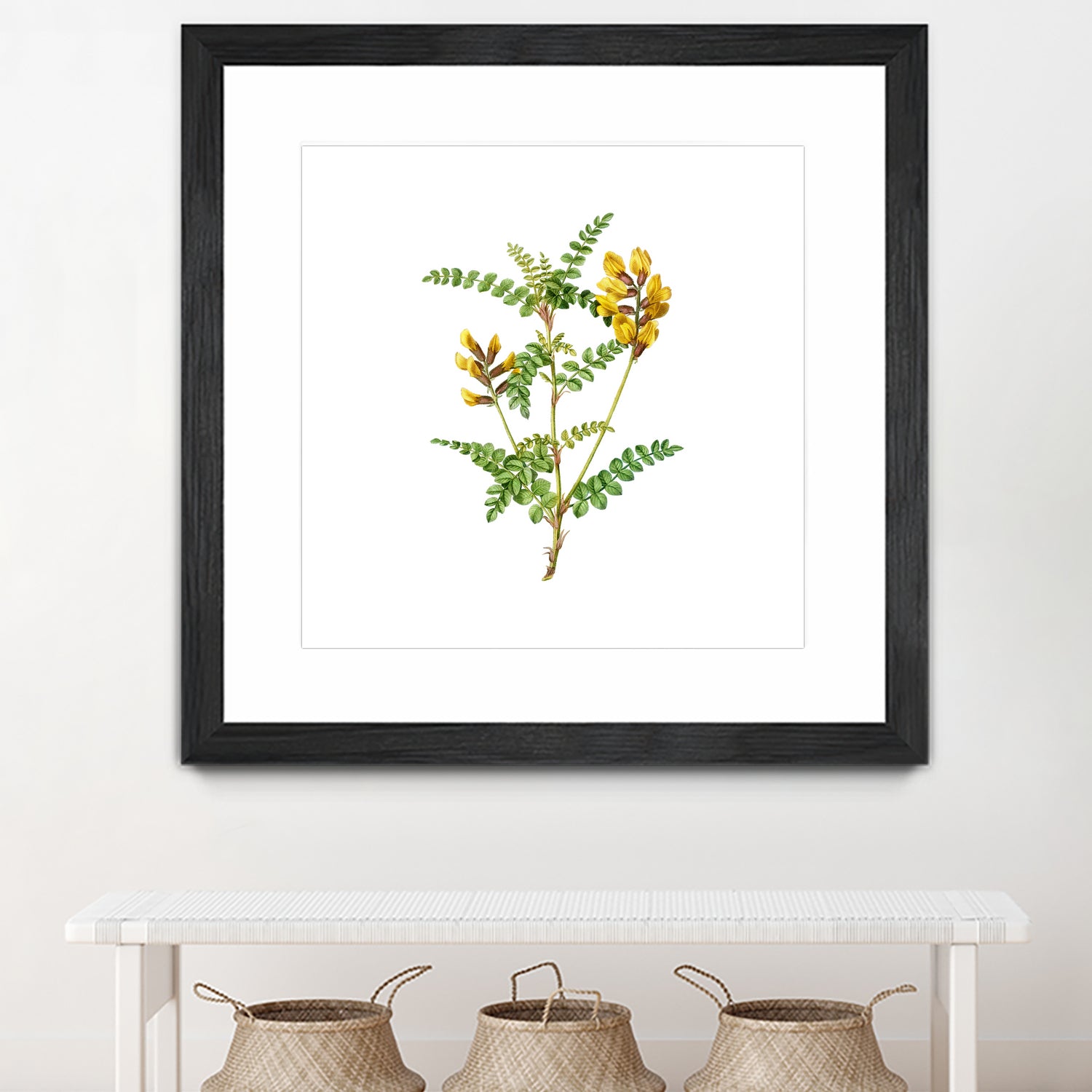 Vintage Calophaca Wolgarica Botanical Illustration by Raul Andre Petrasanta on GIANT ART - yellow mixed media