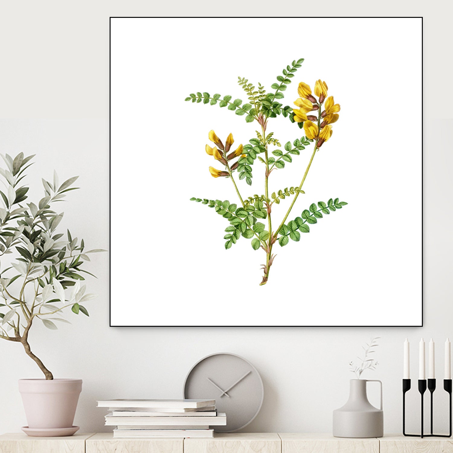 Vintage Calophaca Wolgarica Botanical Illustration by Raul Andre Petrasanta on GIANT ART - yellow mixed media