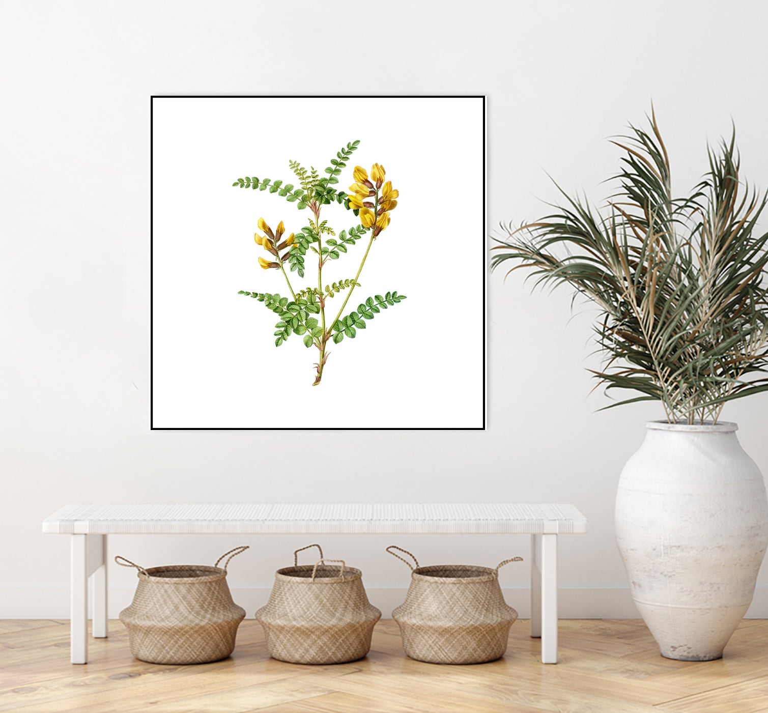 Vintage Calophaca Wolgarica Botanical Illustration by Raul Andre Petrasanta on GIANT ART - yellow mixed media