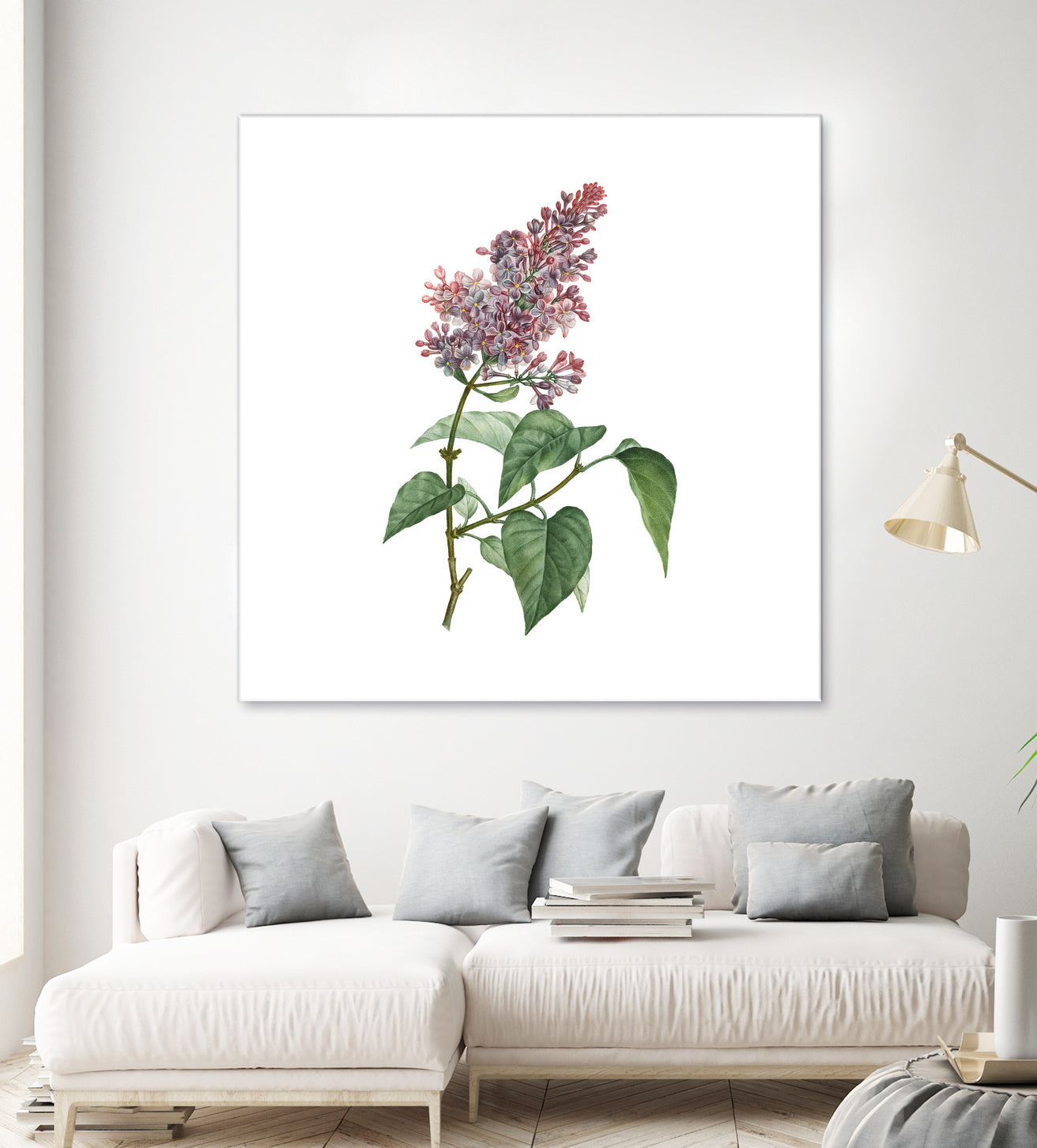 Vintage Common Pink Lilac Plant Botanical Illustratio by Raul Andre Petrasanta on GIANT ART - pink mixed media