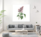 Vintage Common Pink Lilac Plant Botanical Illustratio by Raul Andre Petrasanta on GIANT ART - pink mixed media