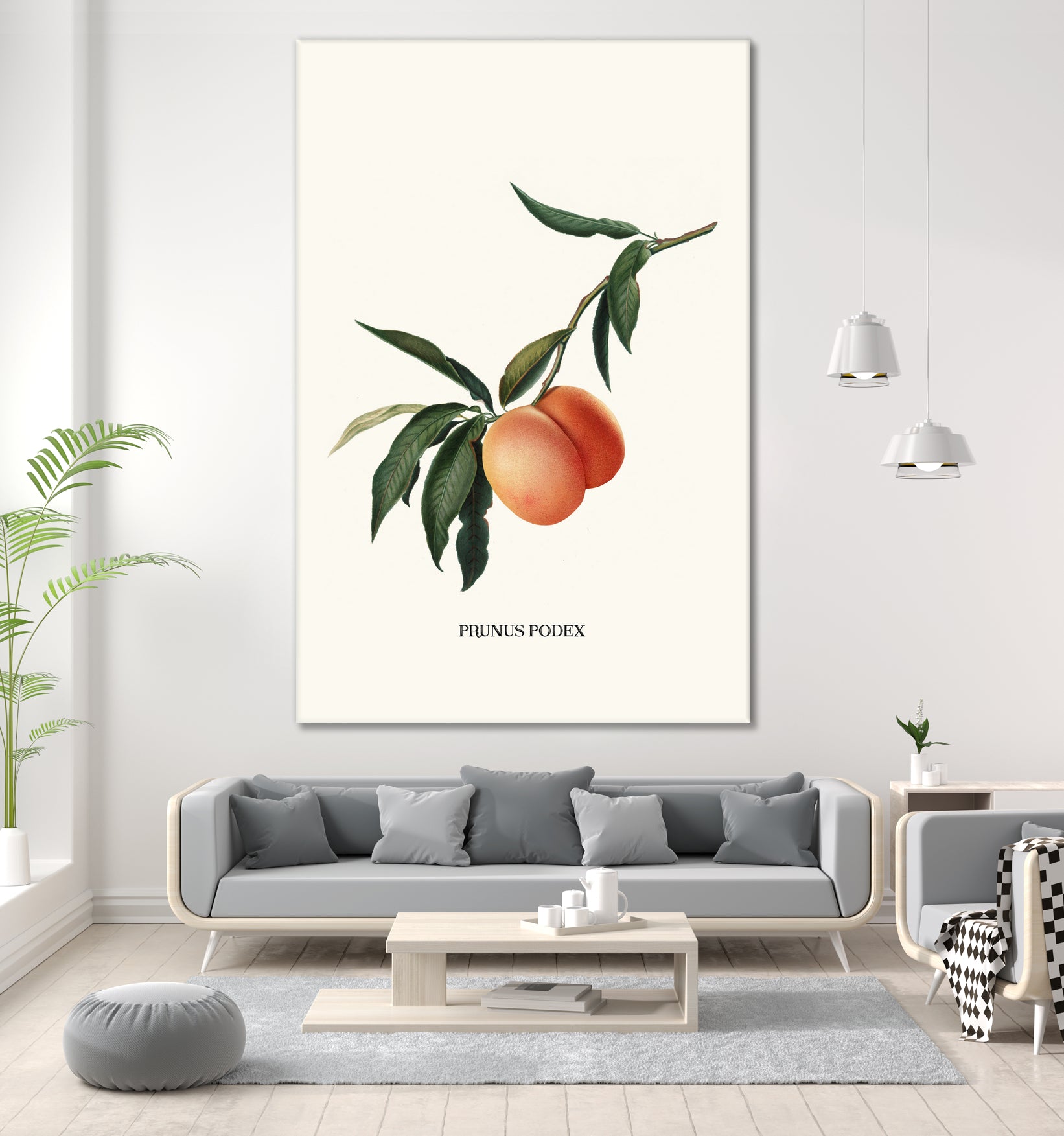 PEACHY by Jonas Loose on GIANT ART - orange photo manipulation