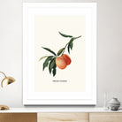 PEACHY by Jonas Loose on GIANT ART - orange photo manipulation