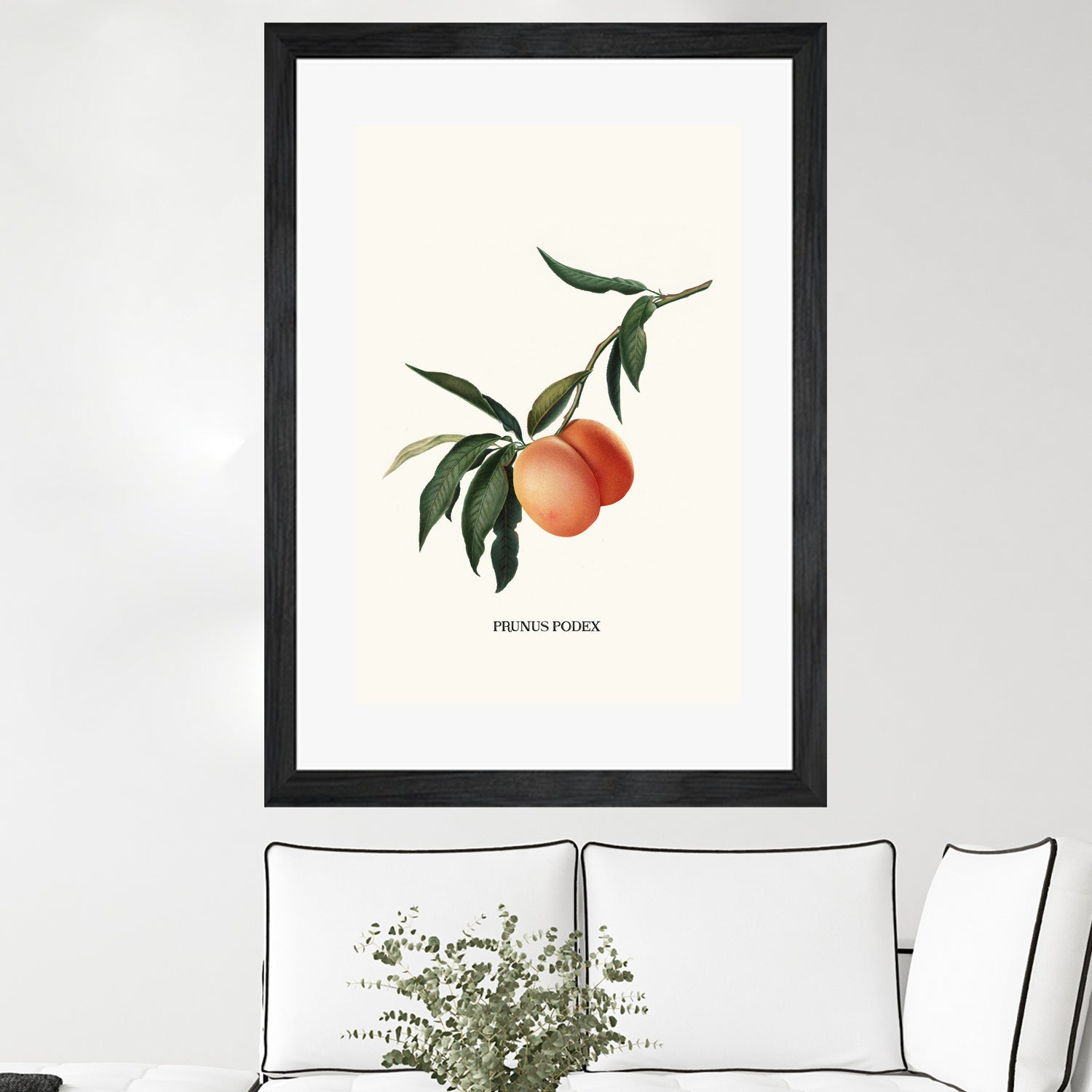 PEACHY by Jonas Loose on GIANT ART - orange photo manipulation