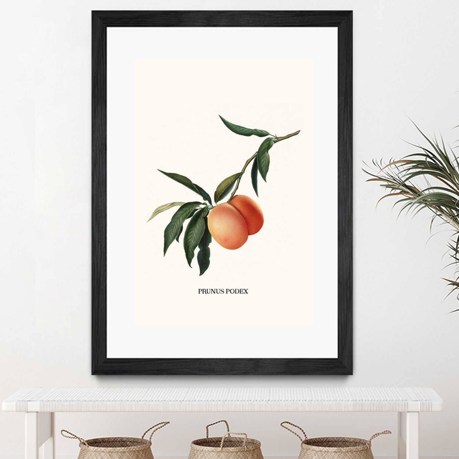 PEACHY by Jonas Loose on GIANT ART - orange photo manipulation