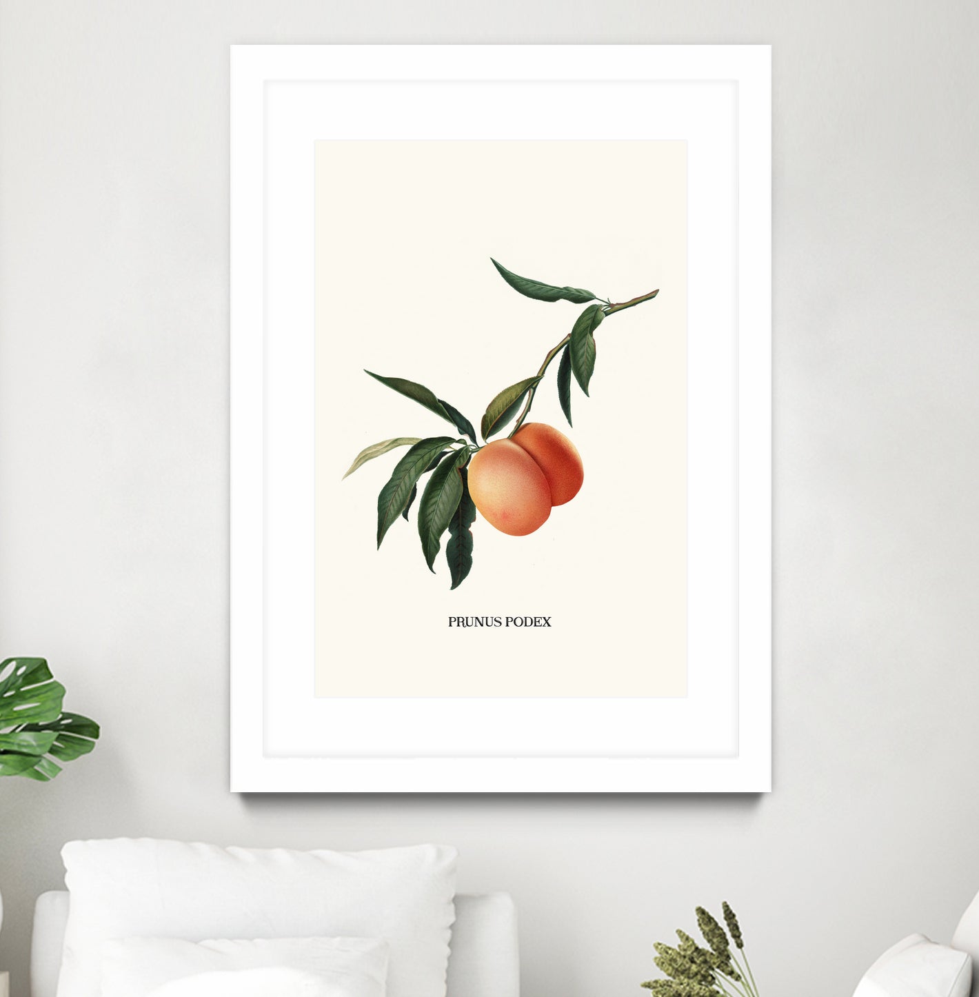 PEACHY by Jonas Loose on GIANT ART - orange photo manipulation