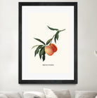 PEACHY by Jonas Loose on GIANT ART - orange photo manipulation