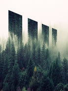 Wall at Forest by dedy rahmanto on GIANT ART - white photo illustration