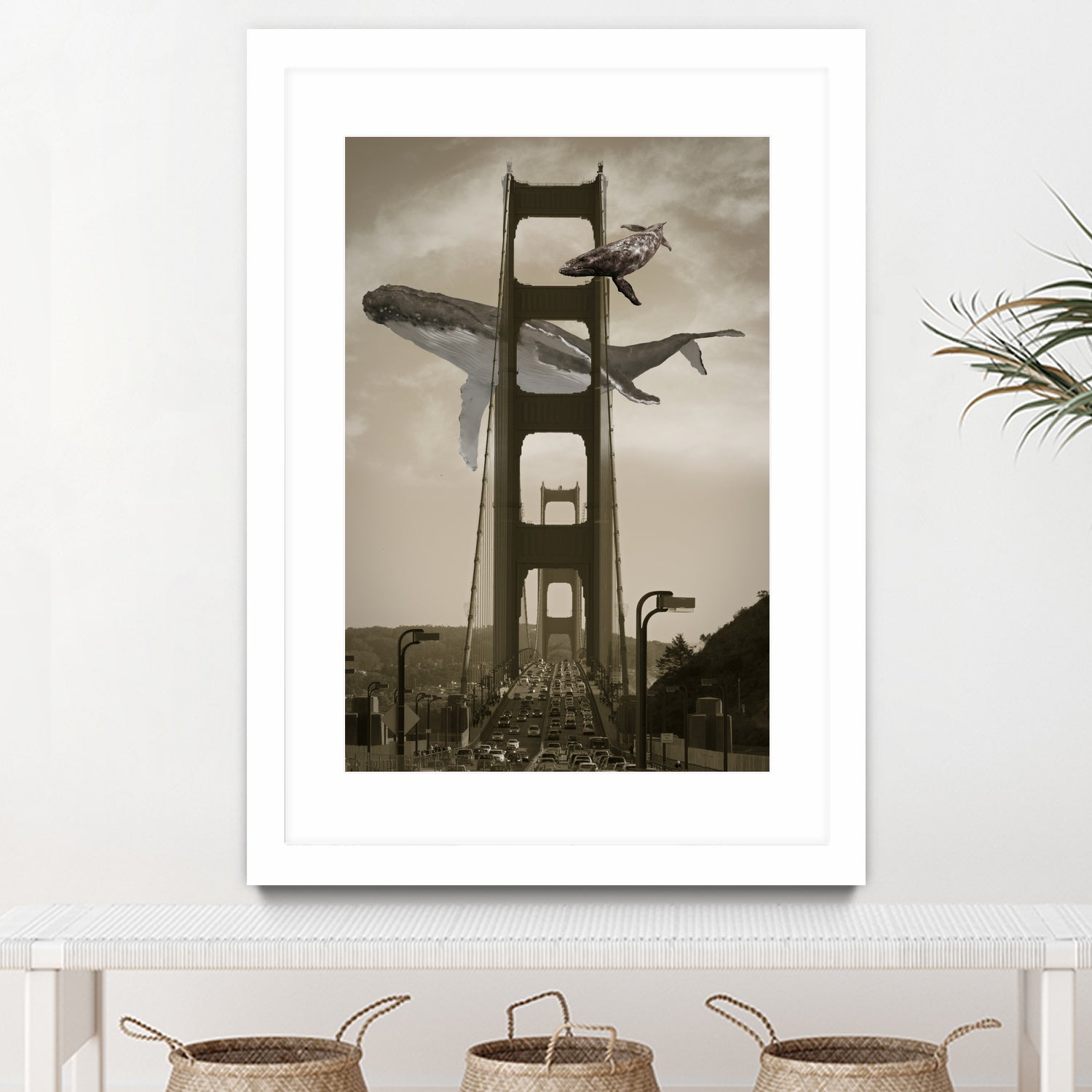 Whale Watching at the Golden Gate Bridge by David Loblaw on GIANT ART - gray photo illustration