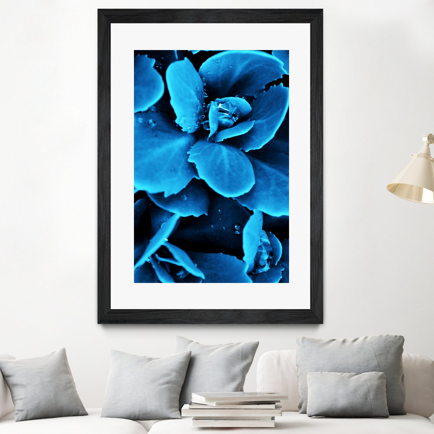 Succulent raindrops in blue by IOANNA PAPANIKOLAOU on GIANT ART - blue photo illustration