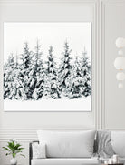 Snow Porn by Oliver Brömme on GIANT ART - white photo manipulation